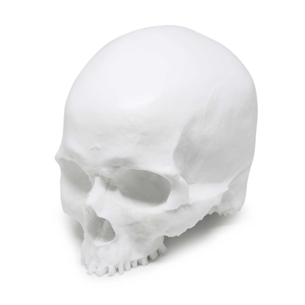 A Pound Of Flesh - Yorick Skull