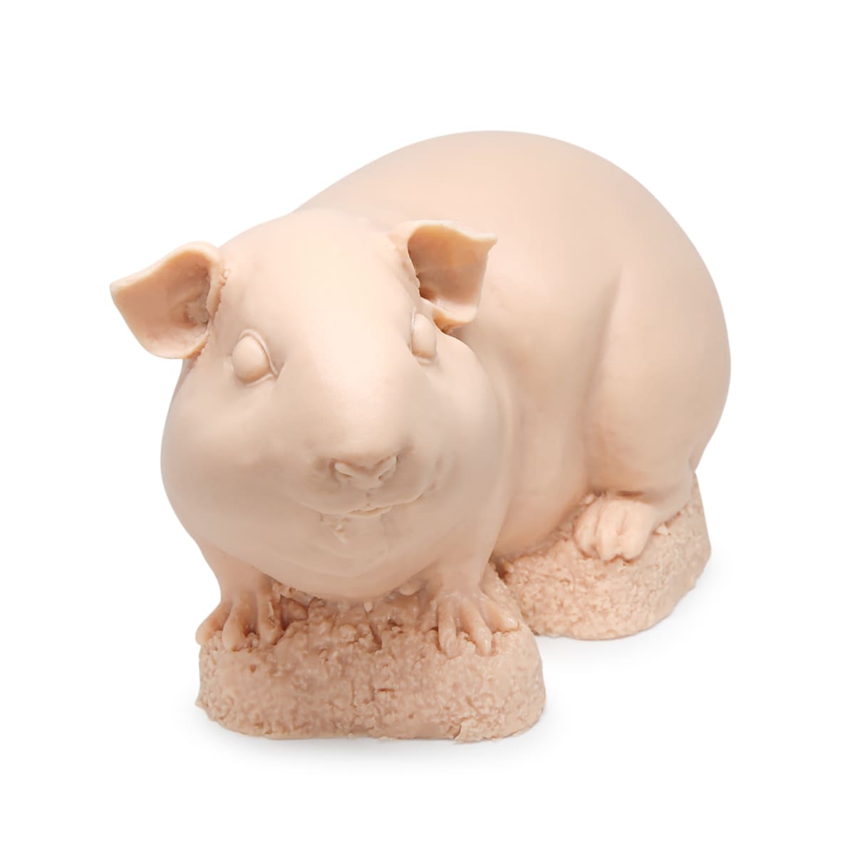 A Pound Of Flesh - Guinea pig